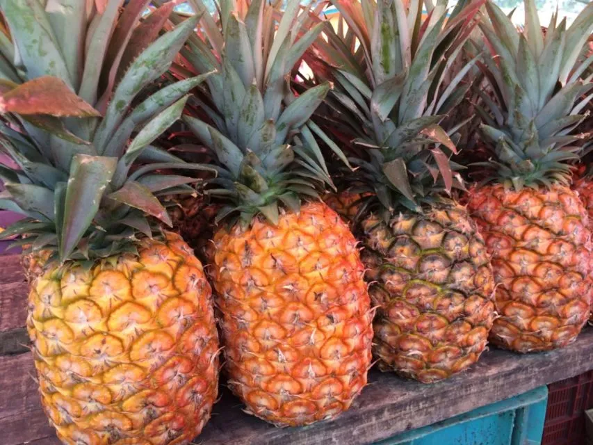 7 Cara Membedakan Nanas Madu dengan Nanas Biasa. Nggak Cukup Dibuktikan dengan Manisnya Saja 8