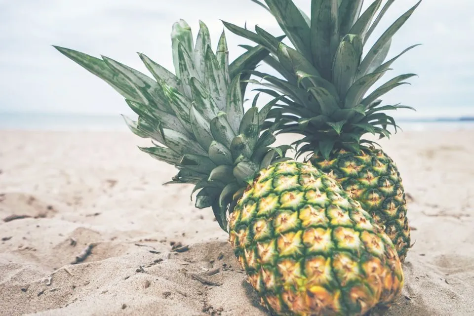 7 Cara Membedakan Nanas Madu dengan Nanas Biasa. Nggak Cukup Dibuktikan dengan Manisnya Saja 11