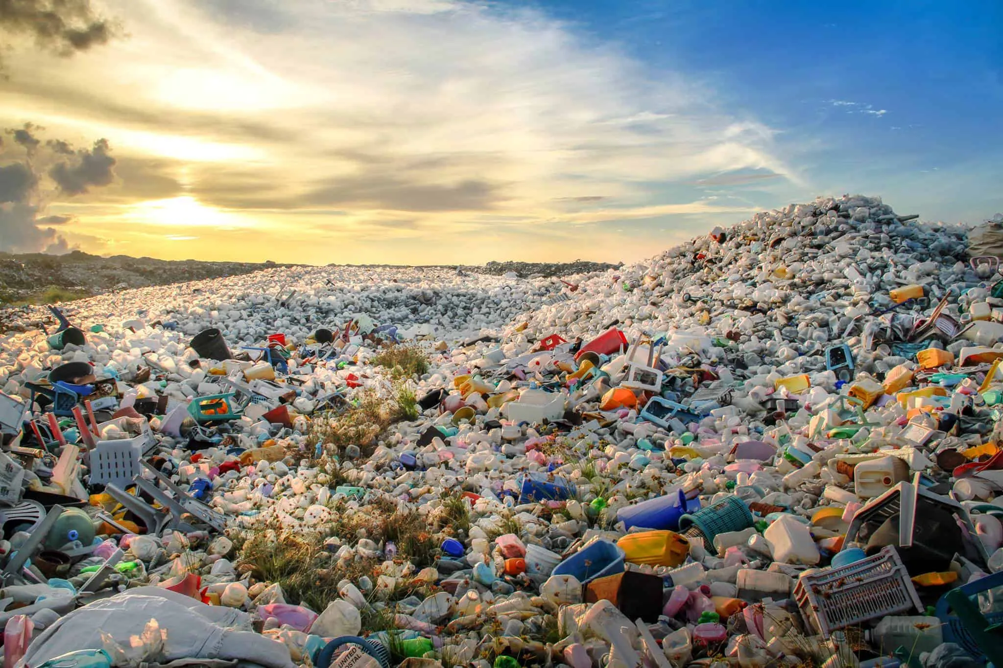 Inovatif nan Ramah Lingkungan, Kini Ada Bungkus Saus yang Bisa Dimakan. Diharapkan Bisa Kurangi Limbah Plastik 4