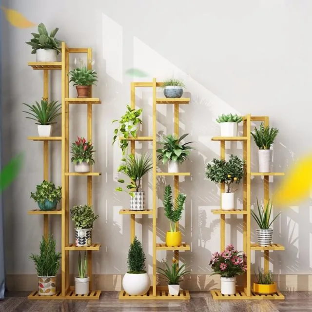 8 Inspirasi Rak Kayu untuk Pot Tanaman di Dalam Ruangan. Tampak Estetik dan Nggak Berceceran 10