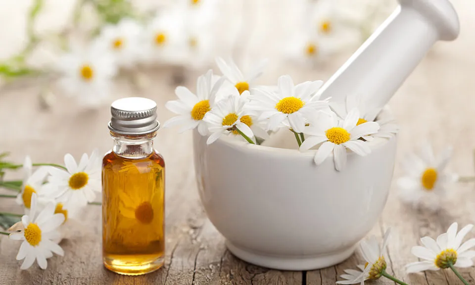 6 Aroma Essential Oil yang Bikin Tidur Lebih Pulas. Cukup Tetes di Bantal, Kantuk Cepat Datang 11