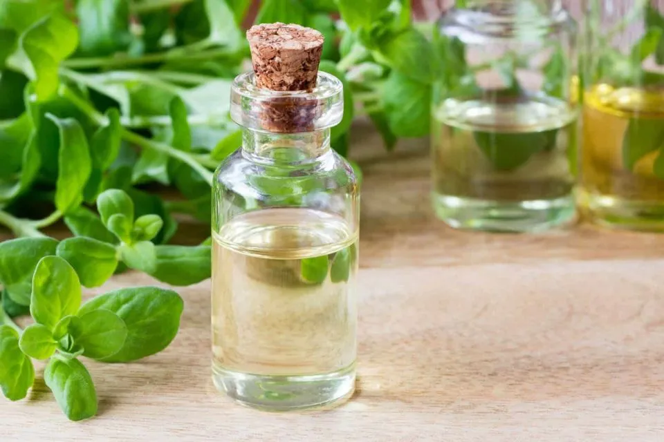 6 Aroma Essential Oil yang Bikin Tidur Lebih Pulas. Cukup Tetes di Bantal, Kantuk Cepat Datang 13