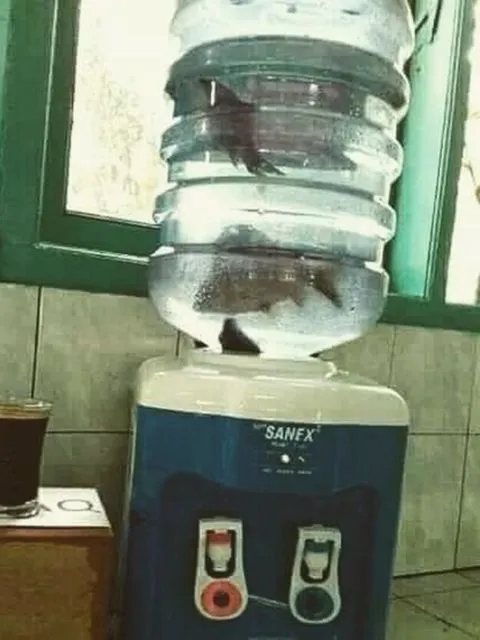 Kocaknya 11 Pemanfaatan Dispenser ini Bikin Nyengir Kuda. Idenya Out of The Box Banget, Bun~ 16
