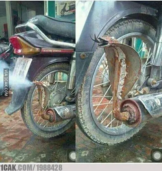 11 Modifikasi Knalpot Motor yang Nyeleneh Banget. Baru Lihat Aja Udah Sebal, Apalagi Dengar Suaranya! 20