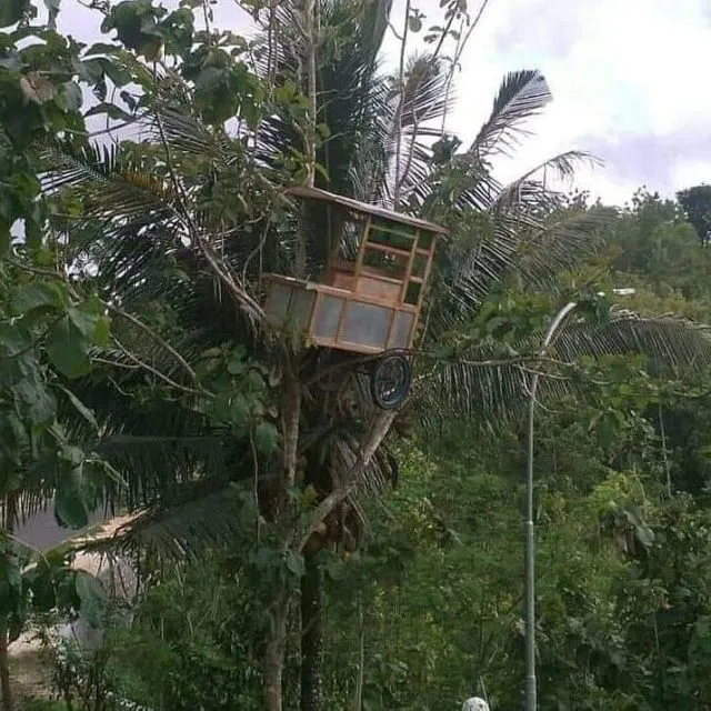 11 Potret Kendaraan Nyangkut di Tempat yang Nggak Semestinya. Kenapa Bisa Sampai Kayak Gitu, ya? 14