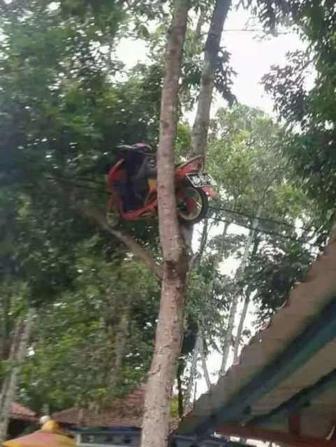 11 Potret Kendaraan Nyangkut di Tempat yang Nggak Semestinya. Kenapa Bisa Sampai Kayak Gitu, ya? 12