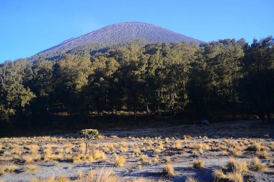 Terlihat Guguran Lava Pijar, Jalur Pendakian Semeru Ditutup Total. Para Pendaki Harap Bersabar! 3