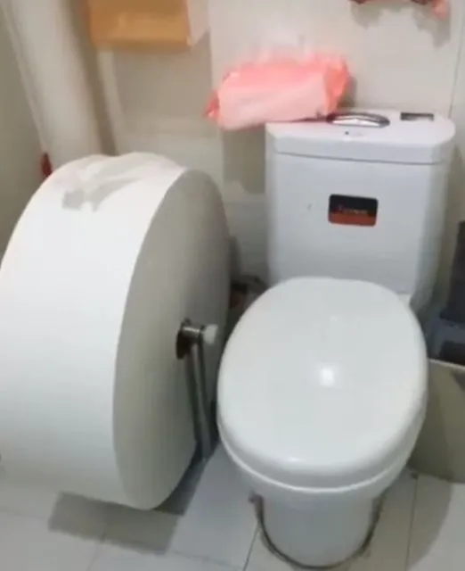 Jenis Tisu Toilet yang Mesti Kamu Hindari. Bikin Bimbang! 18