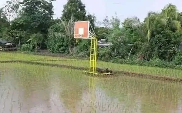 11 Desain Lapangan Basket yang Kelewat Absurd. Orang Mau Main ke Sini Pasti Mikir-Mikir Dulu 14