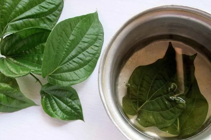 7 Cara Menghilangkan Bau Badan dengan Perawatan Alami. Sungguh Wangi! 8 cara menghilangkan bau badan
