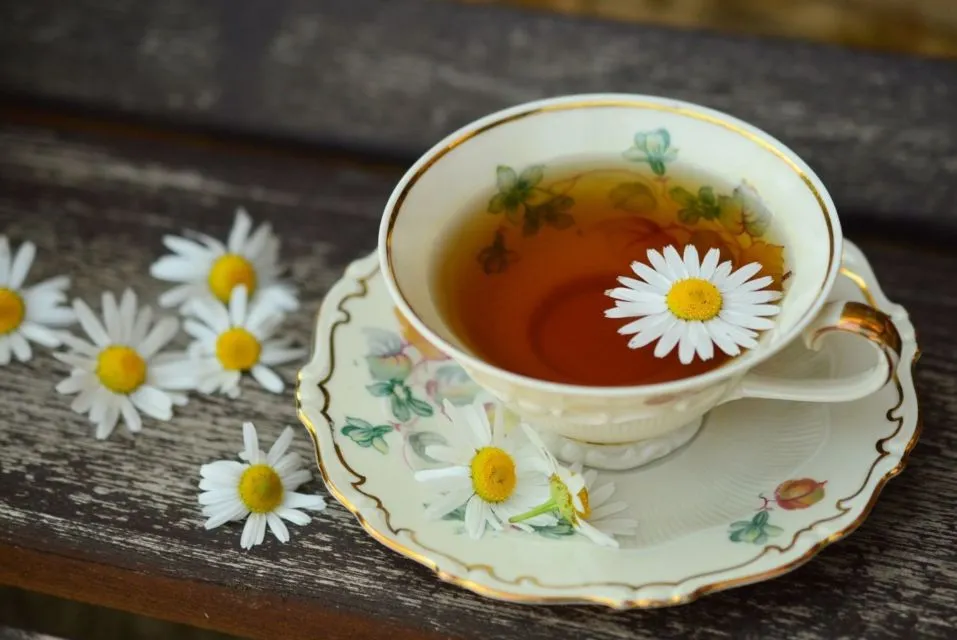 8 Manfaat Minum Teh Tawar yang Sehat 15