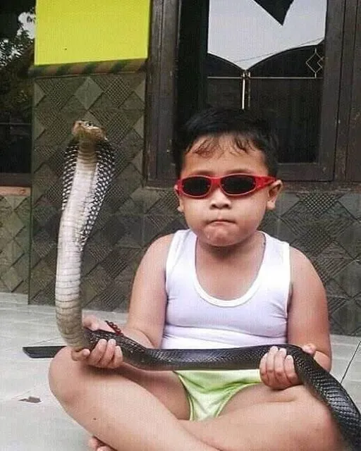 Nggak Paham Lagi sama 11 Kelakuan Ekstrem Bocah ini. Emaknya Pasti Masuk Golongan Orang Sabar Banget 15