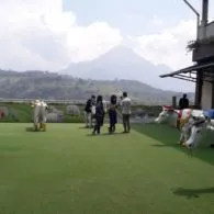 #DiIndonesiaAja-Mau Liburan Bareng Keluarga? Cimory Dairyland Aja! Dapat Senangnya, Dapat Ilmunya