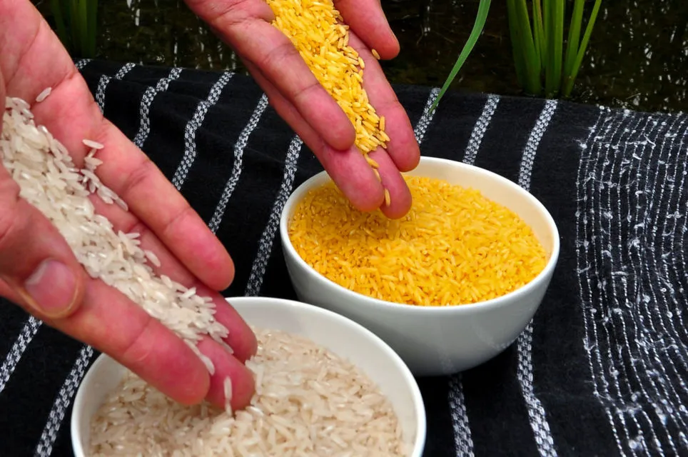 Sering Dianggap 'Ndeso' dan Nggak Bergizi, Nasi Jagung Justru Punya 7 Manfaat Tak Terduga ini 8