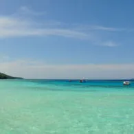 #DiIndonesiaAja-Bermain Dengan Penyu, Lumba-lumba dan Ubur-ubur. Ayo ke Laut Kalimantan!