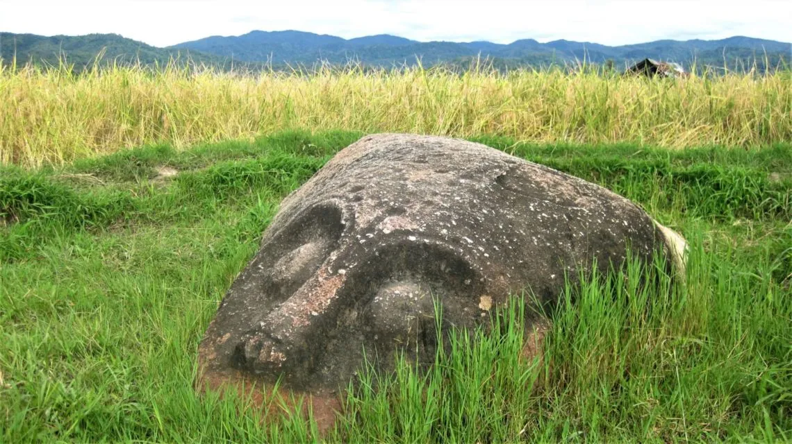 UNESCO Tetapkan 3 Kawasan di Indonesia Sebagai Cagar Biosfer Baru. Apa Itu Cagar Biosfer? 7