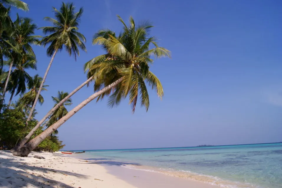 UNESCO Tetapkan 3 Kawasan di Indonesia Sebagai Cagar Biosfer Baru. Apa Itu Cagar Biosfer? 9
