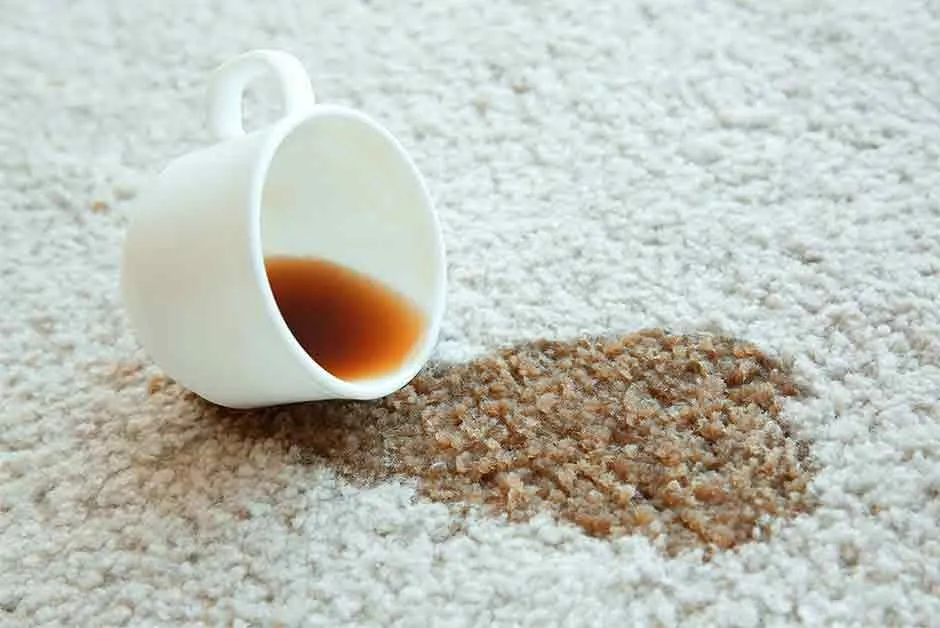 7 Tanda Kamu Mesti Cuci Karpet Segera. Sebelum Noda Berkerak, Lengket, dan Makin Apak Baunya 14