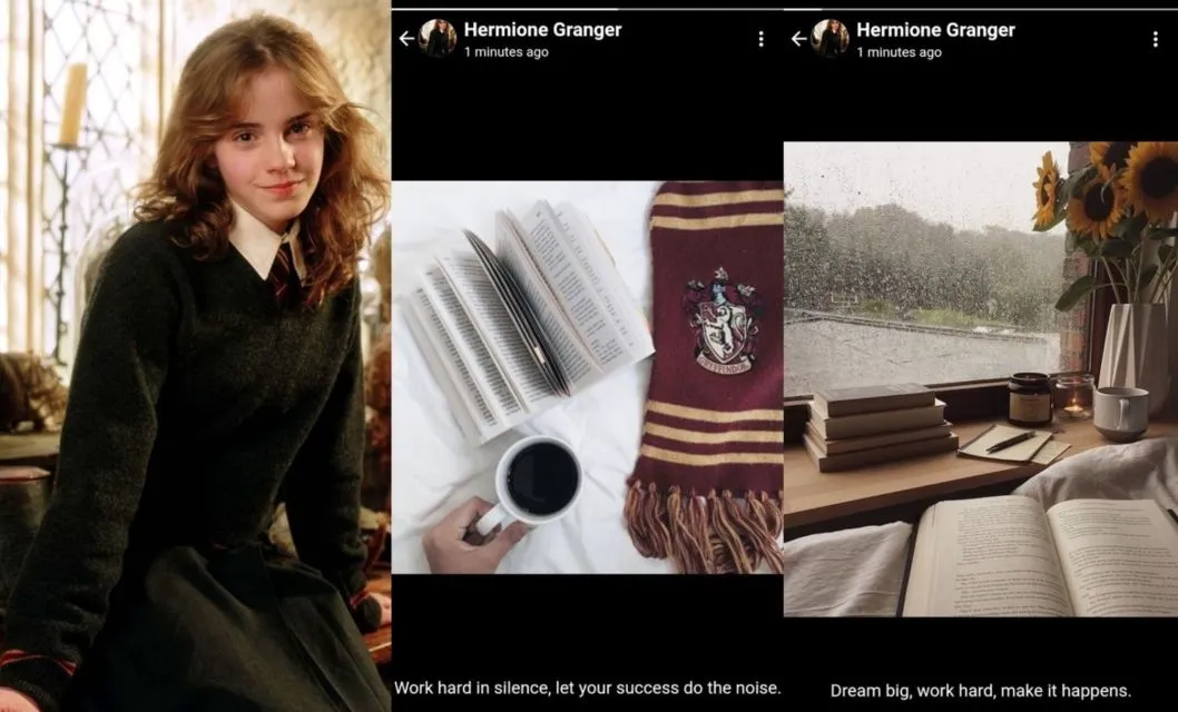 Jika Harry Potter dkk. Main Medsos, Mungkin Begini Isi Story WhatsApp Mereka. Penyihir Update Status! 14