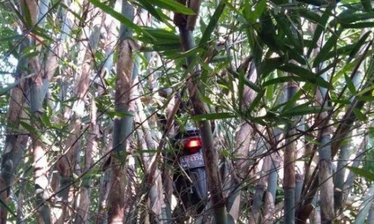 11 Potret Kendaraan Nyangkut di Tempat yang Nggak Semestinya. Kenapa Bisa Sampai Kayak Gitu, ya? 13