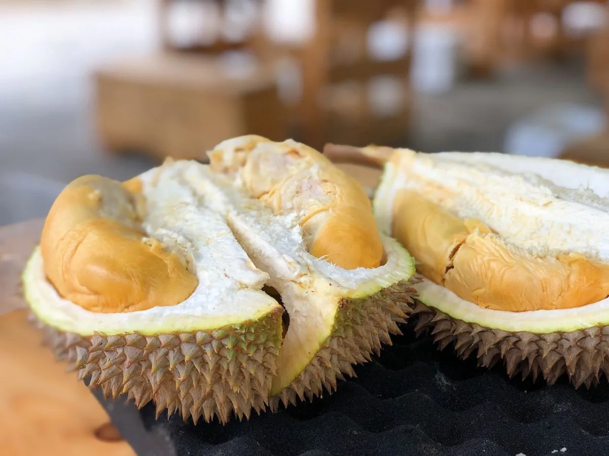 Menurut Sains, Ini 6 Hal yang Paling Bau Sedunia. Durian Termasuk Salah Satu Diantaranya Lho 7