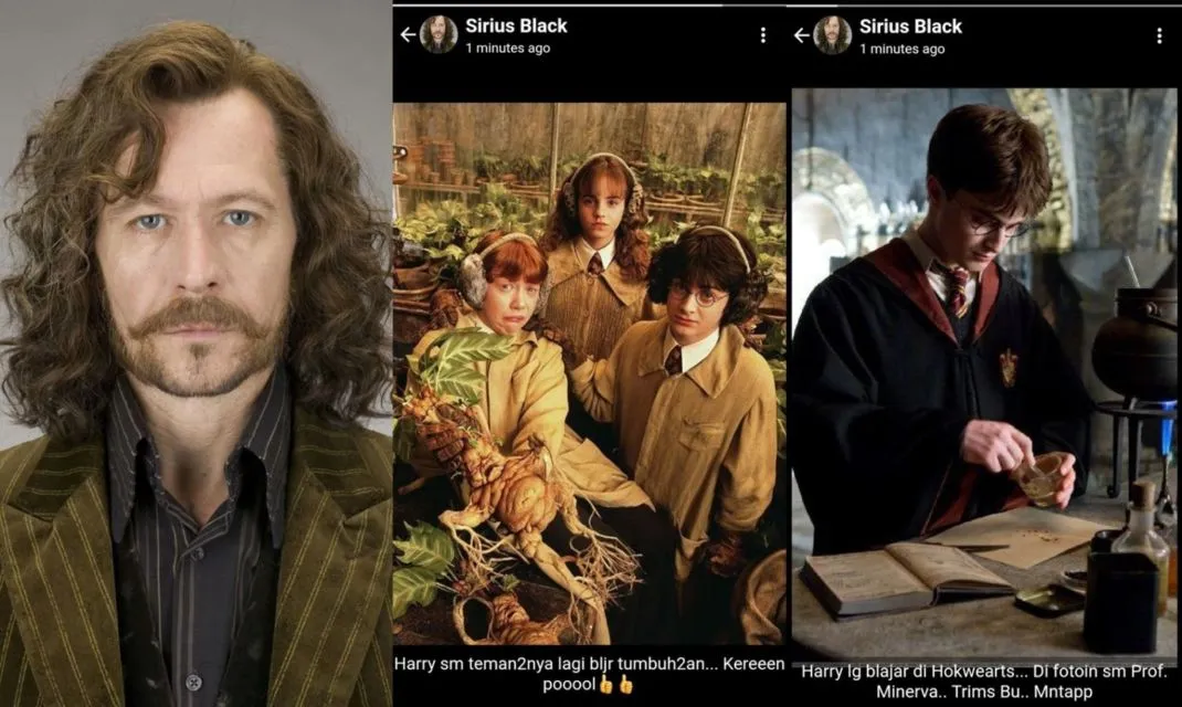 Jika Harry Potter dkk. Main Medsos, Mungkin Begini Isi Story WhatsApp Mereka. Penyihir Update Status! 19