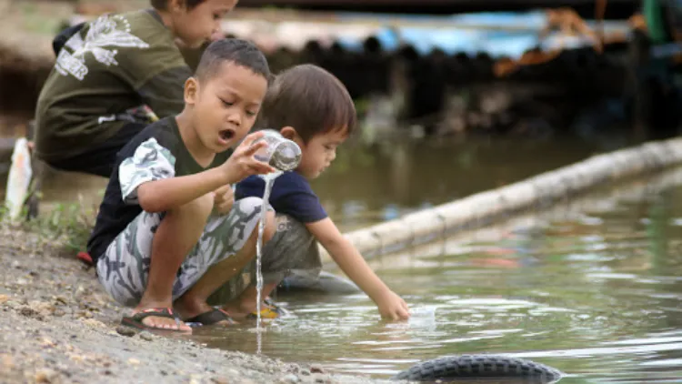 Berburu Berudu, Aktivitas Paling Sia-Sia yang Pernah Dilakukan Bocil Pada Masanya 8