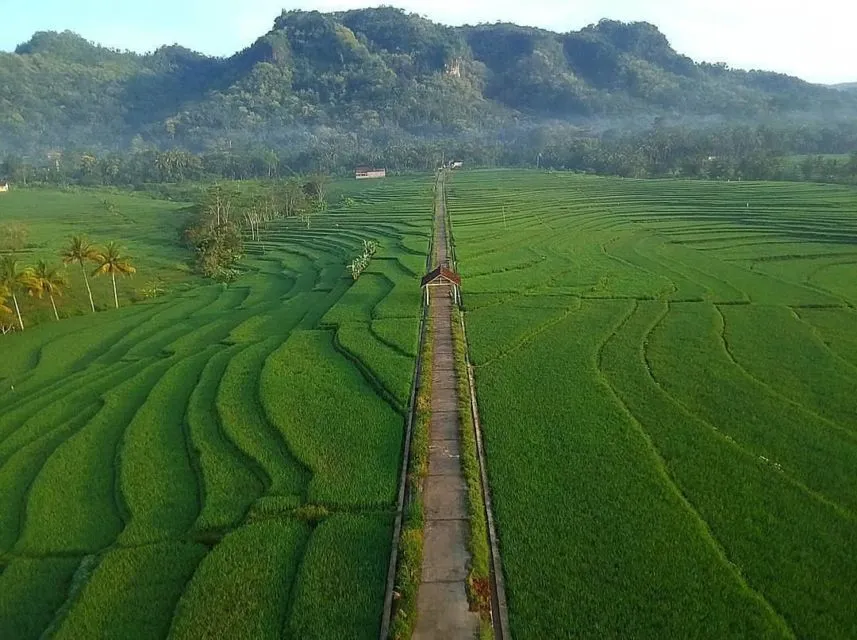 4 Alasan Kenapa Kita Nggak Perlu Nyinyirin Anak Kota yang Suka Heran Lihat Alam Terbuka~ 7