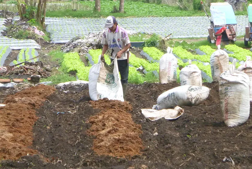 8 Jenis Pupuk Organik yang Mudah Dibuat Sendiri. Berbahan Sisa Makanan Hingga Jerami Kering 11