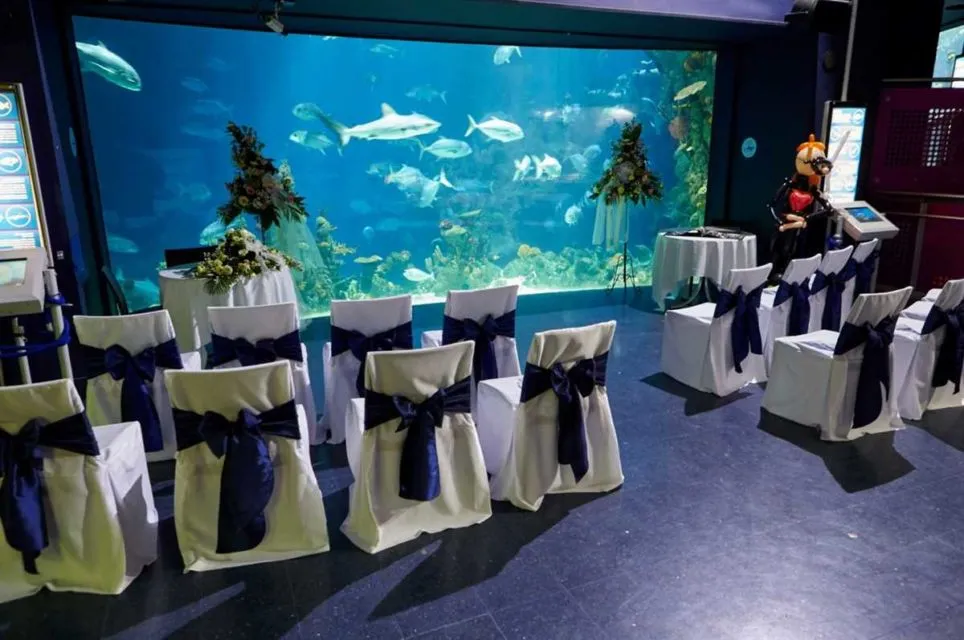 Venue Fantastis di Dunia untuk Menggelar Pernikahan. Megah! 13