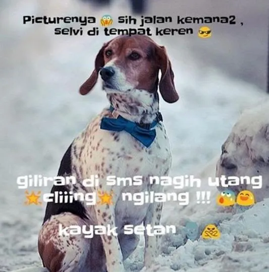 11 Meme Orang Utang yang Acapkali Nggak Ada Akhlak. Relate Banget sama Kehidupan Kita nih! 20
