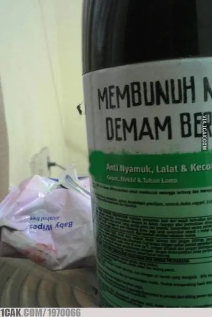 11 Potret Nyamuk Super yang Berani Tantang Maut. Nyalinya Gede Banget, Nggak Takut Mati! 14