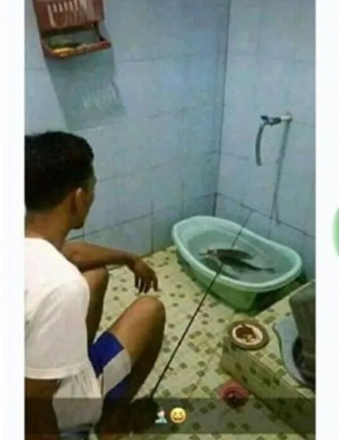Penasaran Kenapa Cowok Kadang Betah Banget di Kamar Mandi? Ternyata ini Kegiatan Rahasia Mereka 9