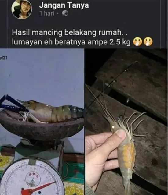 11 Potret Kocak Orang Saat Pakai Timbangan. Pada Nggak Tahu Cara Kerjanya atau Gimana sih? 12