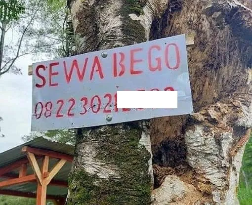 11 Ide Bisnis Orang Indonesia yang Nggak Akan Terpikirkan oleh Masyarakat Luar Negeri. Kreatif~ 16
