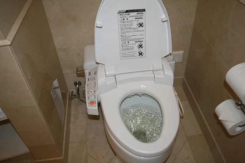 Kebiasaan Pakai WC Jongkok Terus Pindah ke WC Duduk itu Semacam Cobaan Hidup. Susah! 9
