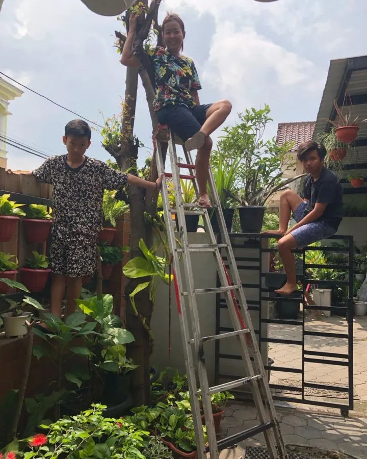 Salurkan Hobi Saat Pandemi, Soimah Hasilkan Keuntungan Puluhan Juta dari Bisnis Tanaman 3