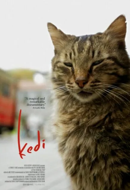 7 Rekomendasi Film Tentang Kucing. Jangan Ngaku Pecinta Kocheng Kalau Belum Nonton Film ini~ 13
