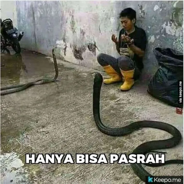 11 Potret Melas Orang-Orang yang Kelewat Pasrah dengan Keadaan. Jatuhnya Malah Kocak 12