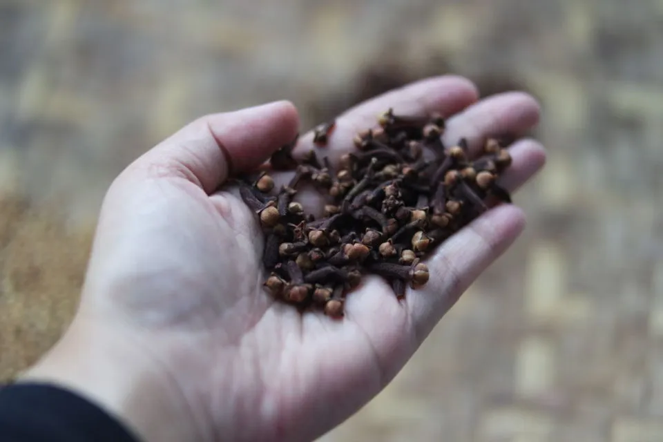 8 Minuman Tradisional untuk Atasi Bau Badan. Terapi dari Dalam, Nggak Melulu Pakai Deodoran 13