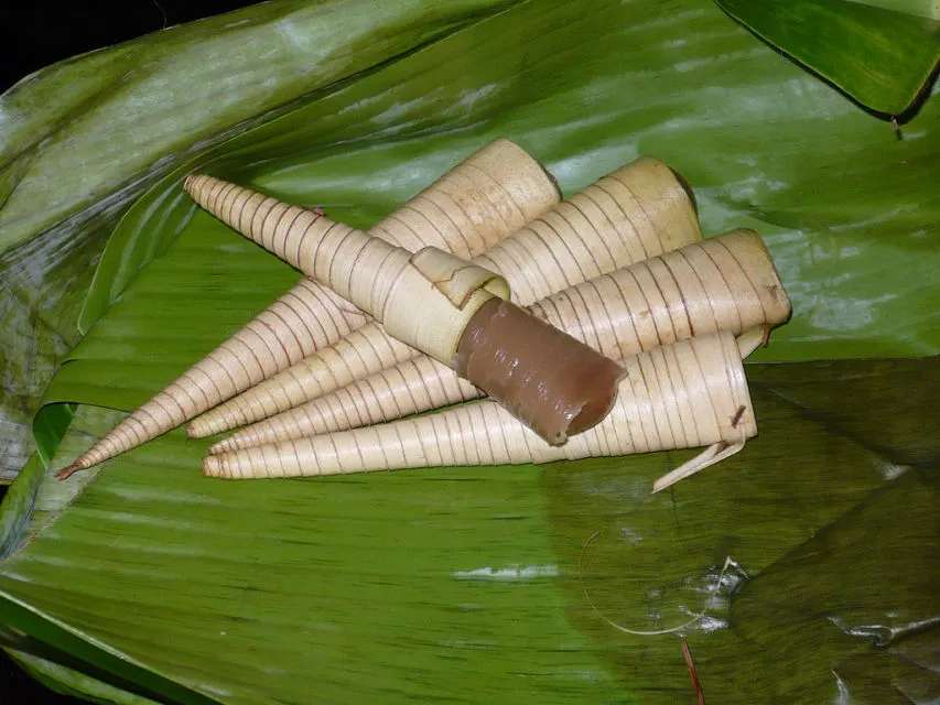 5 Makanan Khas Nusa Tenggara Barat yang Bisa Membuat Ngiler arena Rasanya yang Enak Banget! 6