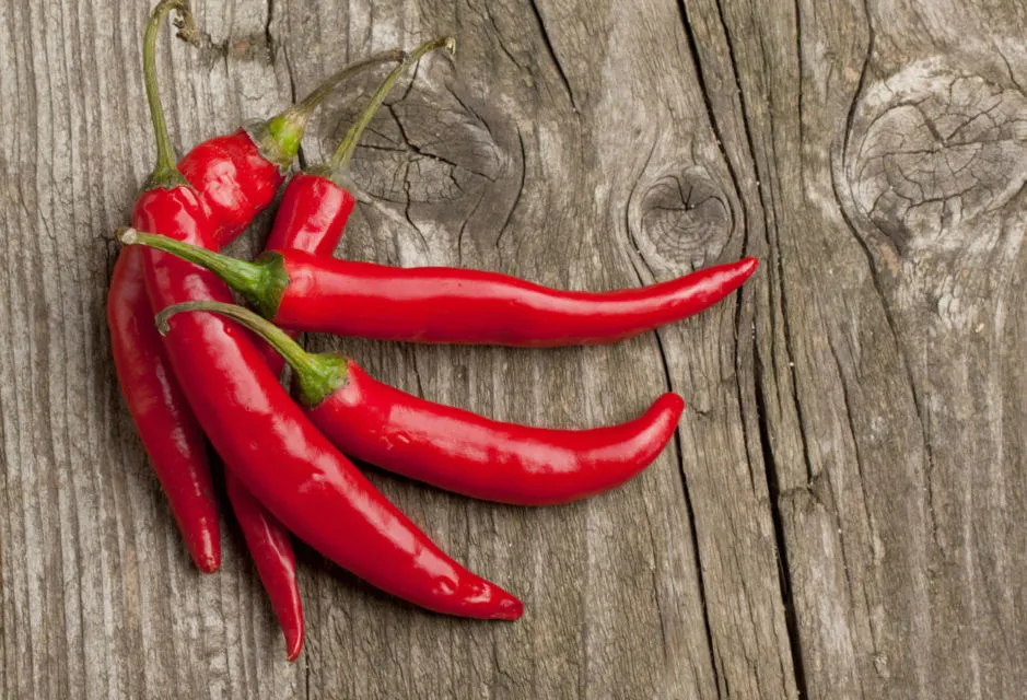 Tak Hanya Cabe Rawit, ini 6 Jenis Cabe Unik yang Muncul di Tantangan Masterchef Indonesia 11
