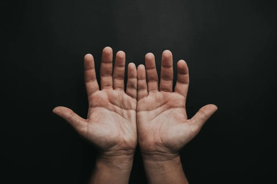 Mengintip Alasan Mengapa Manusia Punya Garis Tangan. Apakah Menyimpan Rahasia Masa Depan? 4