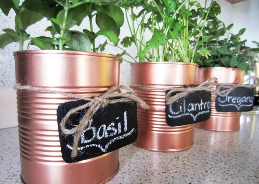 6 Jenis Material Pot Bunga dan Plus Minusnya. Nggak Semuanya Cocok Jadi Wadah Aneka Tanaman 12
