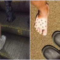 11 Keapesan Orang Saat Mengenakan Alas Kaki. Ada yang Pernah Mengalami Kejadian ini?