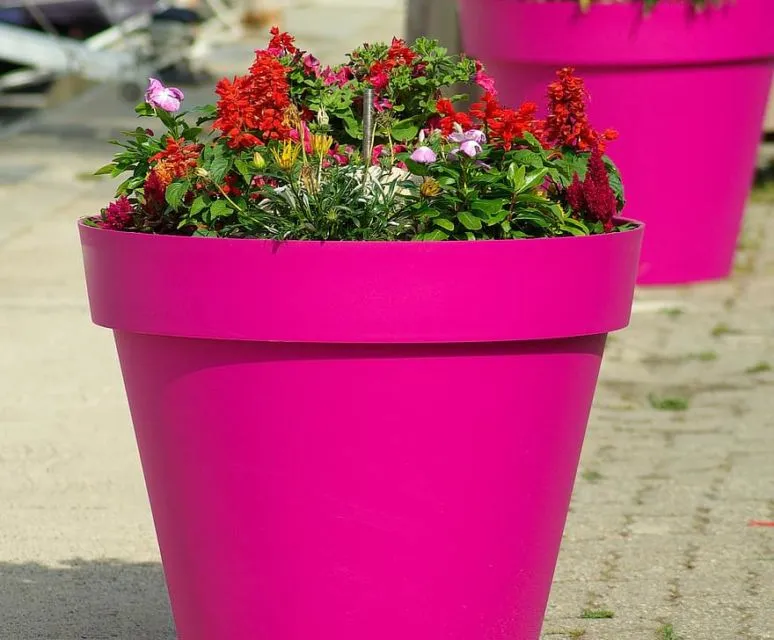 6 Jenis Material Pot Bunga dan Plus Minusnya. Nggak Semuanya Cocok Jadi Wadah Aneka Tanaman 7