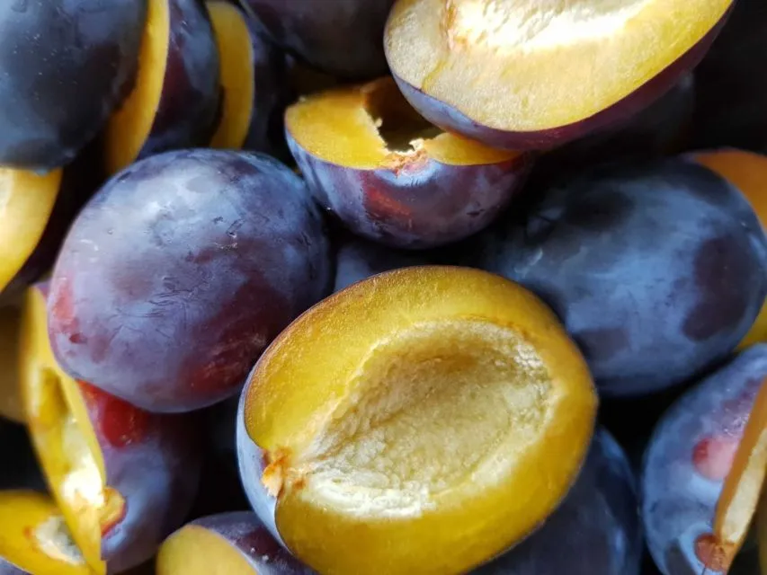 7 Buah untuk Diet agar Cepat Kurus & Sehat 11