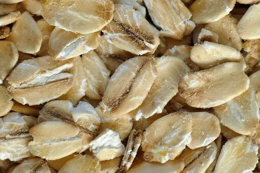 8 Bahan Alami untuk Redakan Gigitan Semut Rangrang yang Bikin Kulit Melepuh. Lumayan Ampuh! 13
