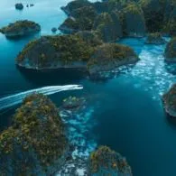 5 Kuliner Khas Papua yang Unik Banget, dari Kue Manis sampai Makanan Ekstrim Berbahan Ulat Sagu