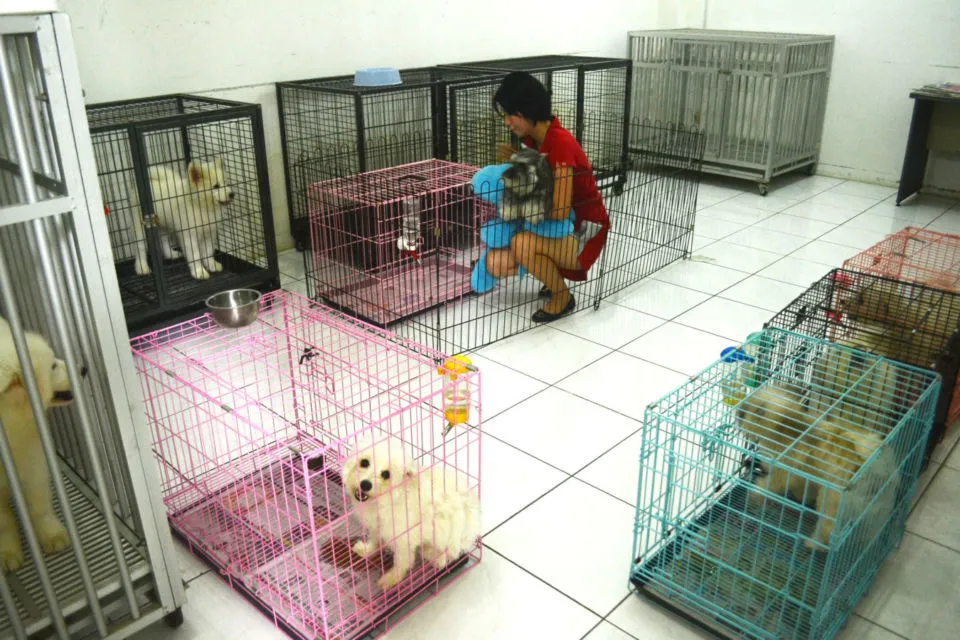 11 Pekerjaan yang Terkesan Biasa Aja, tapi Penghasilannya Lumayan Gede 21